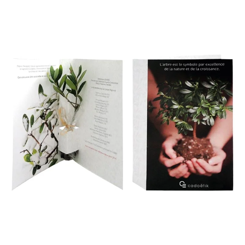cadoetik20261022115621282700