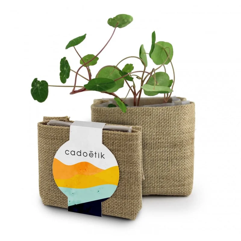cadoetik20261022115934283500