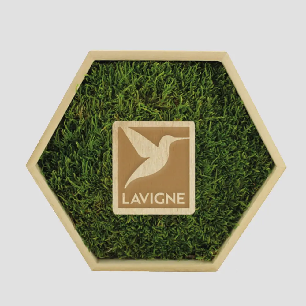 lavigne-eprint20261022083318242136