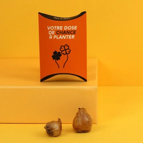ruedesgoodies-120261022171557350168