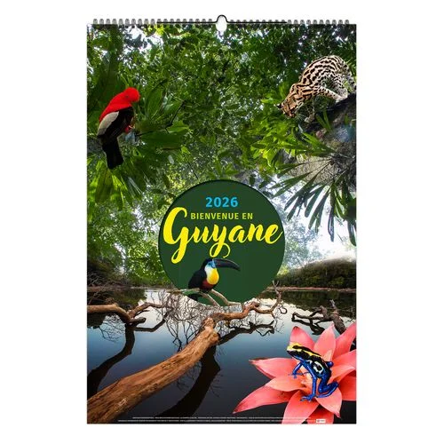 ruedesgoodies-120261022173540354491