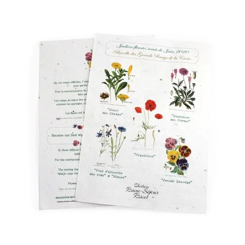 ruedesgoodies-120261023061010516183