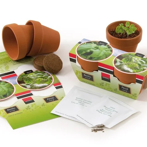 ruedesgoodies-120261023085334540815