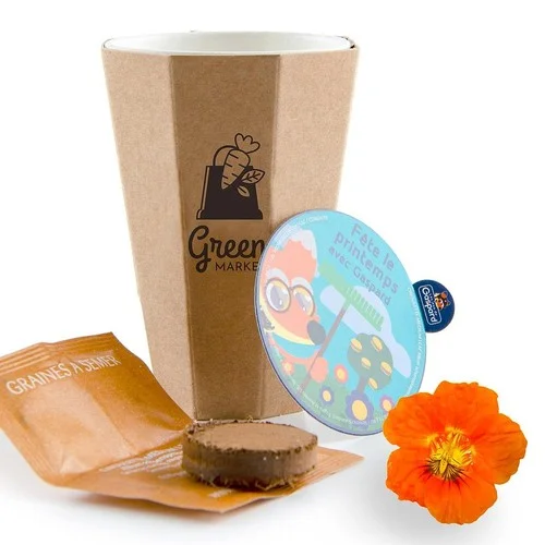 ruedesgoodies-120261023085339540825