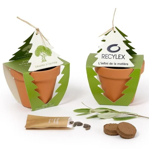 ruedesgoodies-120261023085351540854