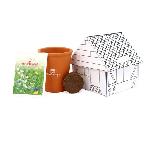 ruedesgoodies-120261023092216544347