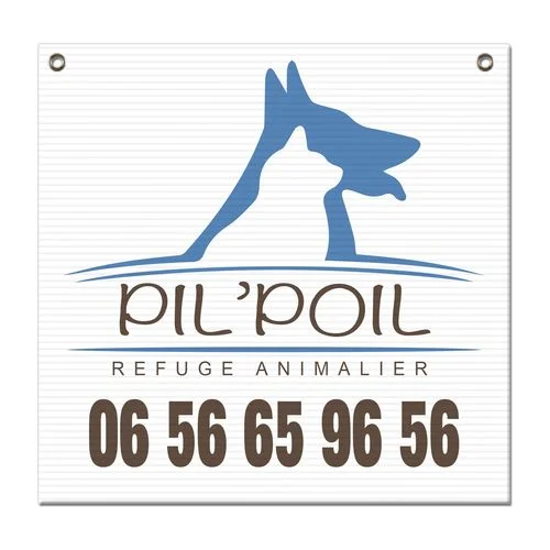 ruedesgoodies-220261023041617490499
